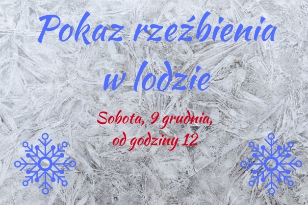 Pokaz rzeźby lodowej- 9 grudnia